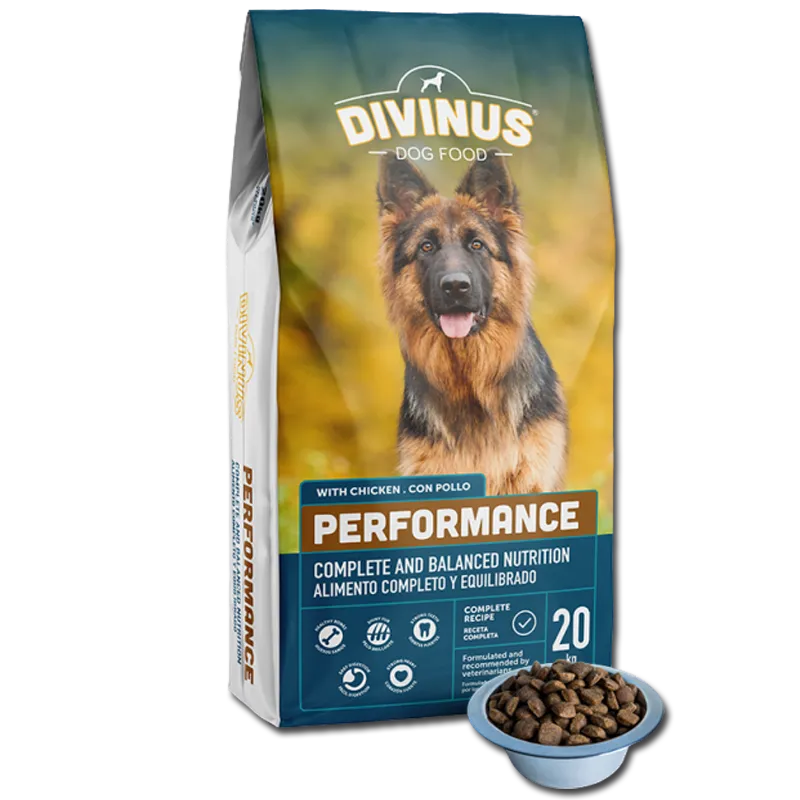 Divinus Performance Karma Sucha Dla Psów Owczarek Niemiecki 20kg