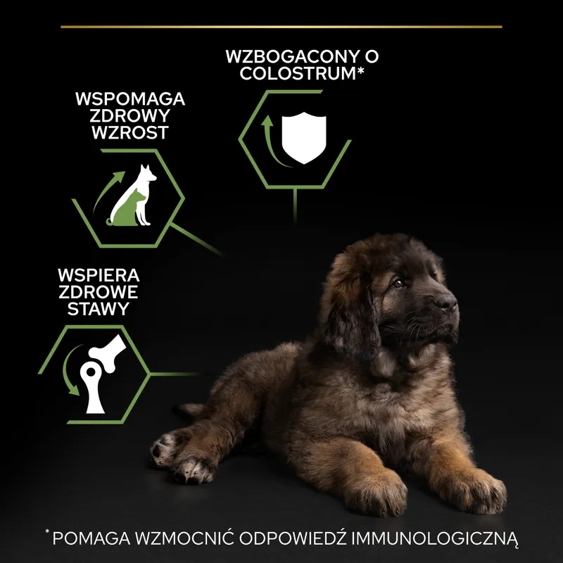Purina Pro Plan Large Puppy Robust Optistart Kurczak I Ryż 12kg