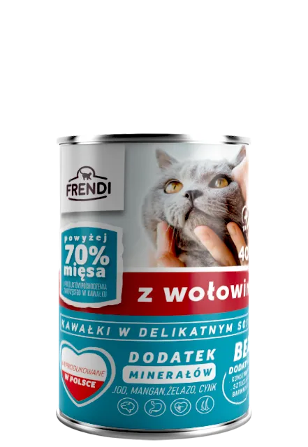 Frendi Kawałki W Delikatnym Sosie Z Wołowiną 400g