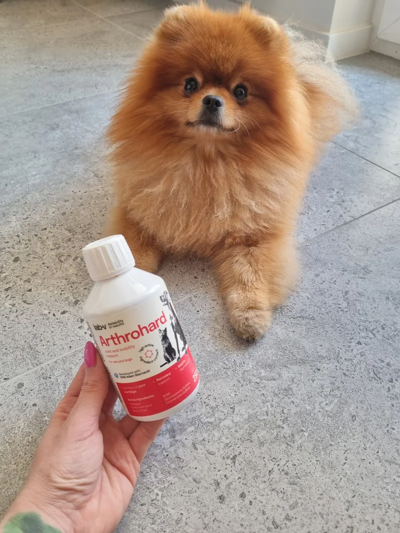 Preparat Na Stawy Dla Psa I Kota Wsparcie Ruchu ZOOJOY 1000 ml