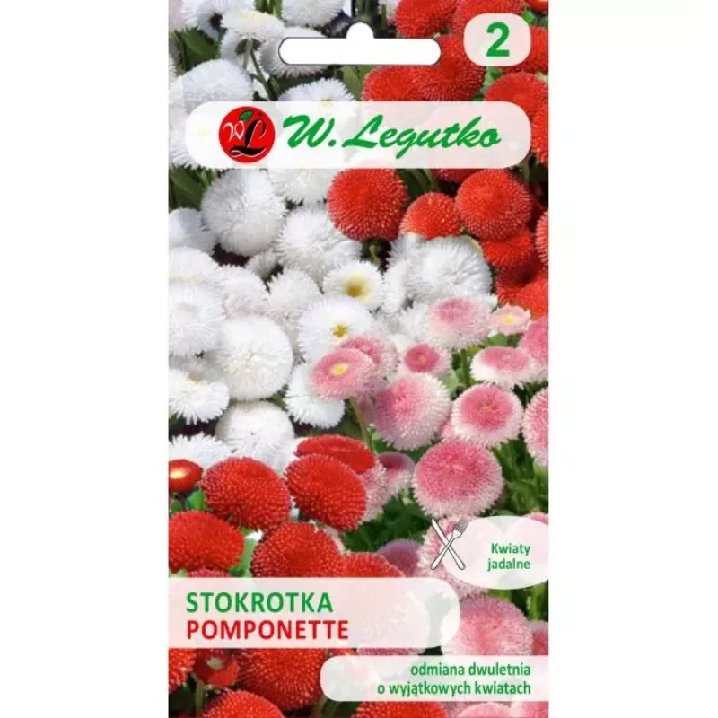 Stokrotka Pospolita 'Pomponette' – Mieszanka Odmian