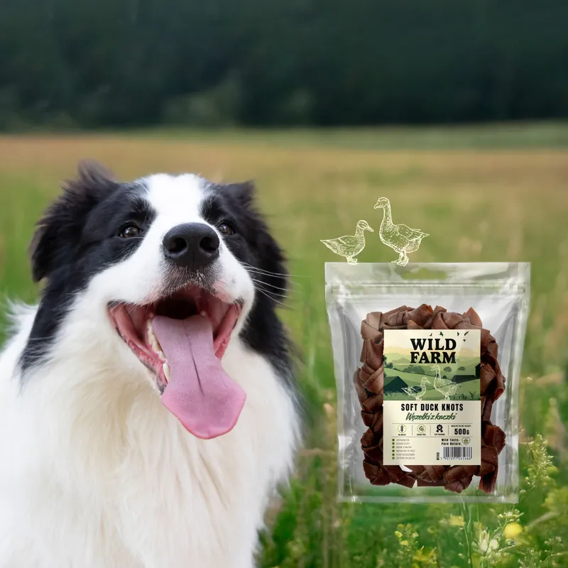 Przysmak Dla Psa Węzełki Z Kaczki Naturalne Bezzbożowe ZOOJOY 500 g