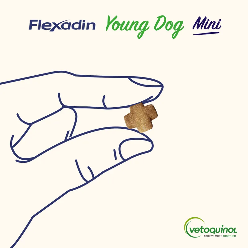 VETOQUINOL Flexadin Young Dog Mini 60 Kąsków