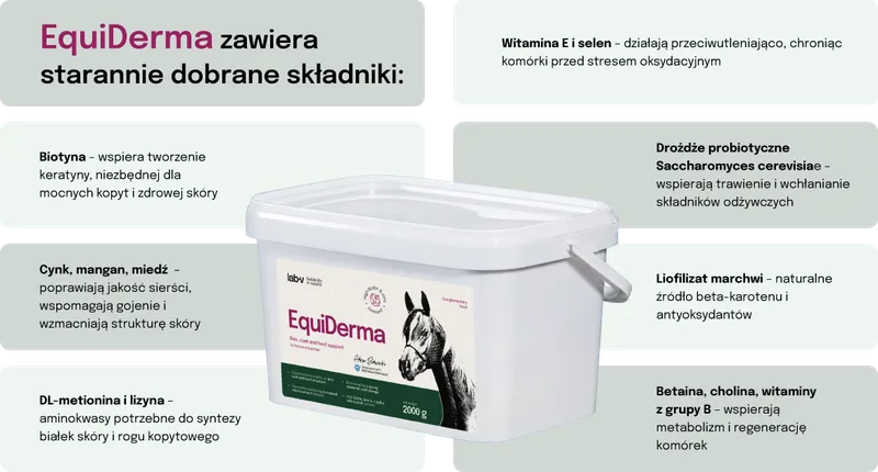 Mieszanka Paszowa Dla Koni I Kucyków Na Sierść I Kopyta ZOOJOY 2000 g