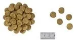 ROYAL CANIN Renal Special Canine 10kg