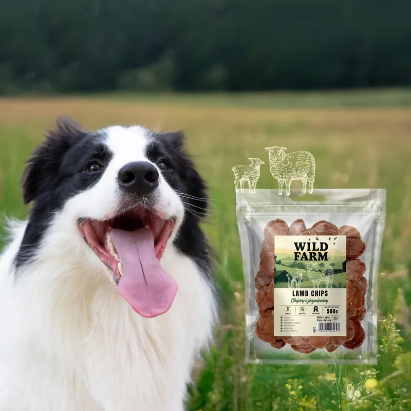 Przysmak Dla Psa Jagnięcina Naturalny Bezzbożowy ZOOJOY 500 g
