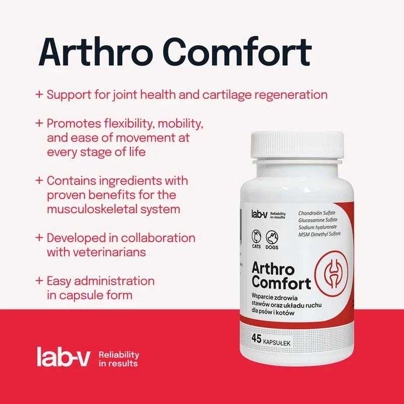 Lab-V Arthro Comfort Kompleksowe Wsparcie Zdrowia Stawów I Układu Ruchu Dla Psów I Kotów 45 Kapsułek