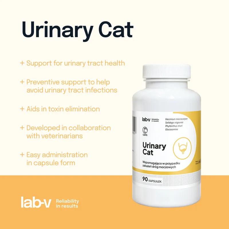 Lab-V Urinary Cat Wsparcie Układu Moczowego Dla Kotów 90 Kapsułek