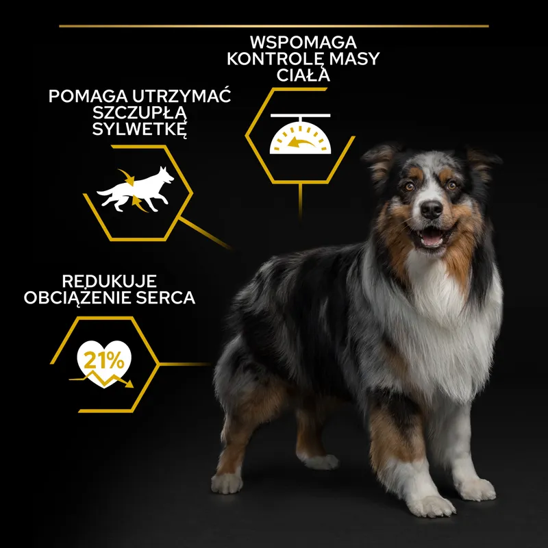 Purina Pro Plan Adult Light Optiweight Sterilised, Kurczak I Ryż 3kg