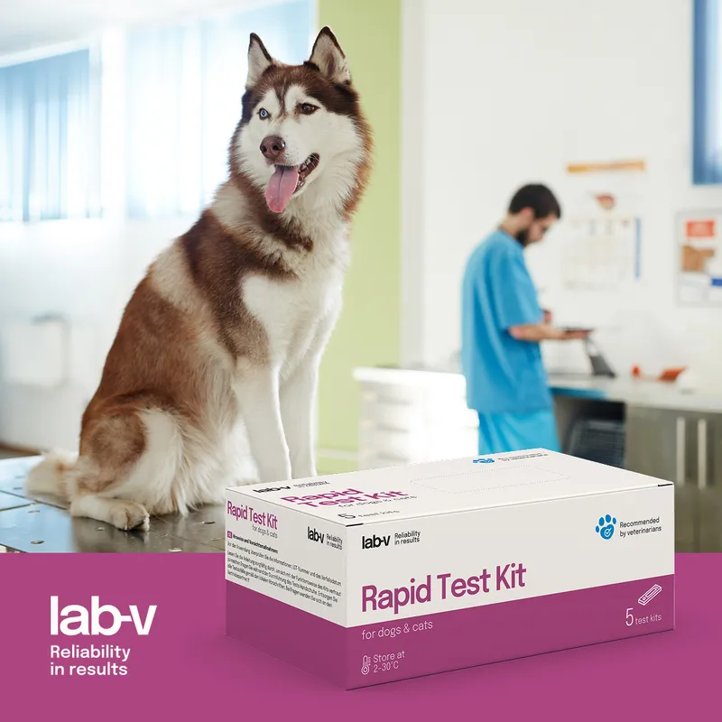 Test Diagnostyczny Dla Psów Na Ehrlichia Anaplasma Babesia ZOOJOY 5 szt