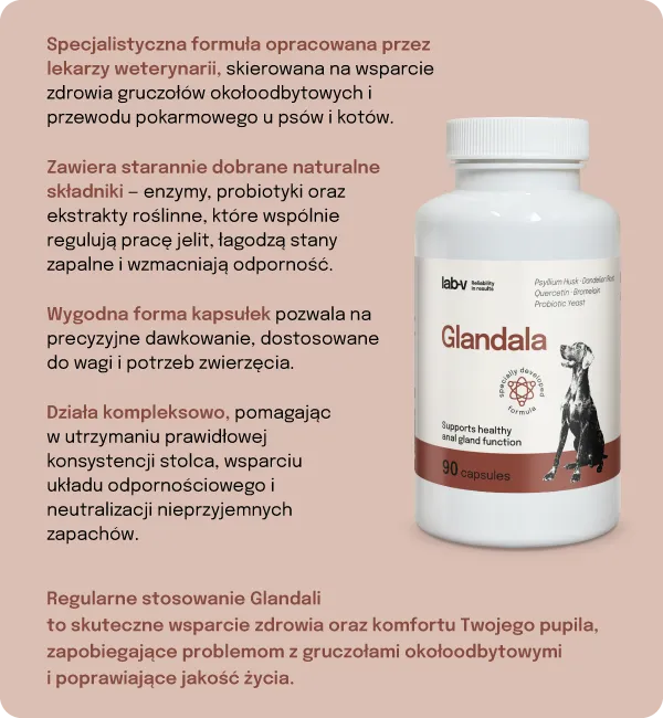 Suplement Na Gruczoły I Trawienie Dla Psa Kota ZOOJOY 90 Kaps