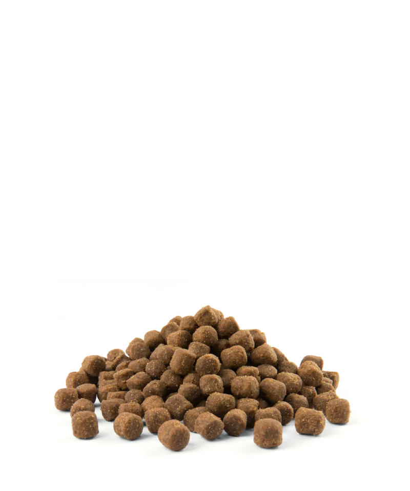 Versele-Laga Opti Life Adult Digestion Mini Z Jagnięcina I Ryżem 2,5kg