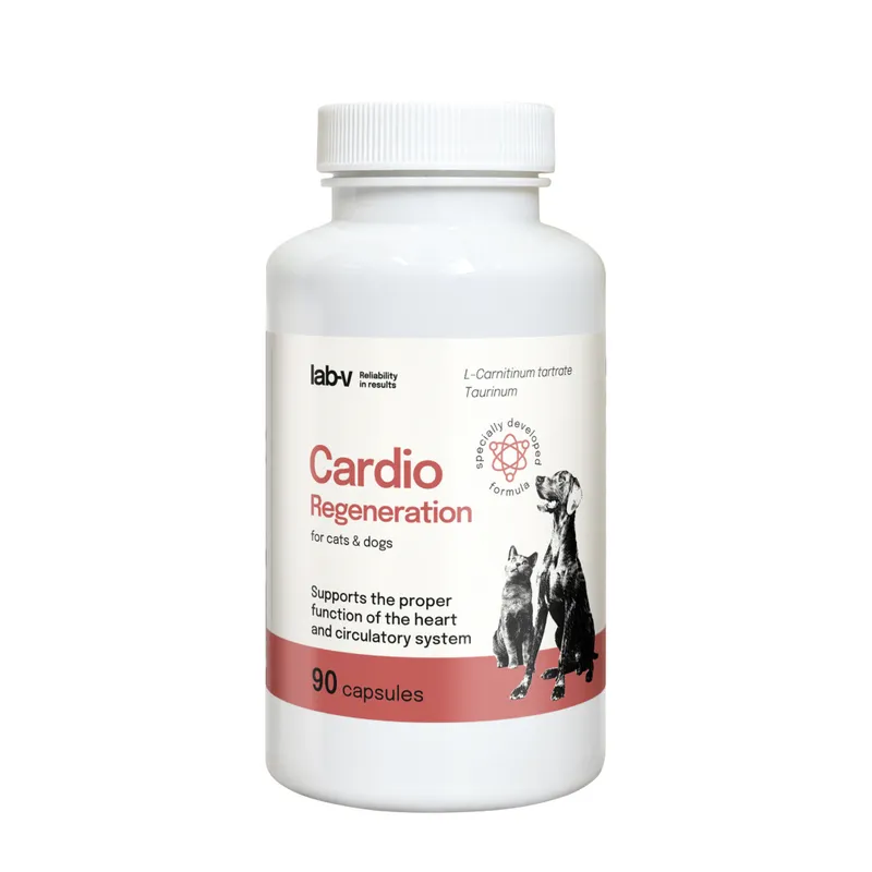 Suplement Na Serce Dla Psa I Kota 90 szt ZOOJOY Cardio Regeneration