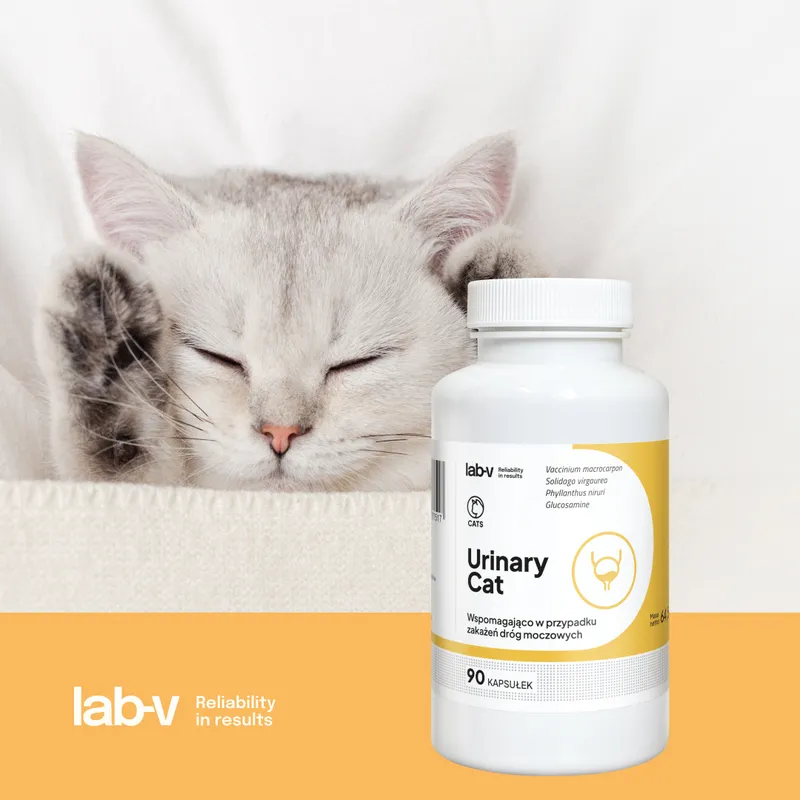 Lab-V Urinary Cat Wsparcie Układu Moczowego Dla Kotów 90 Kapsułek