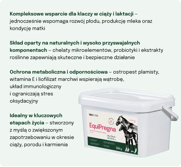 Mieszanka Paszowa Dla Klaczy Ciężarnych Witaminy ZOOJOY 2000 g