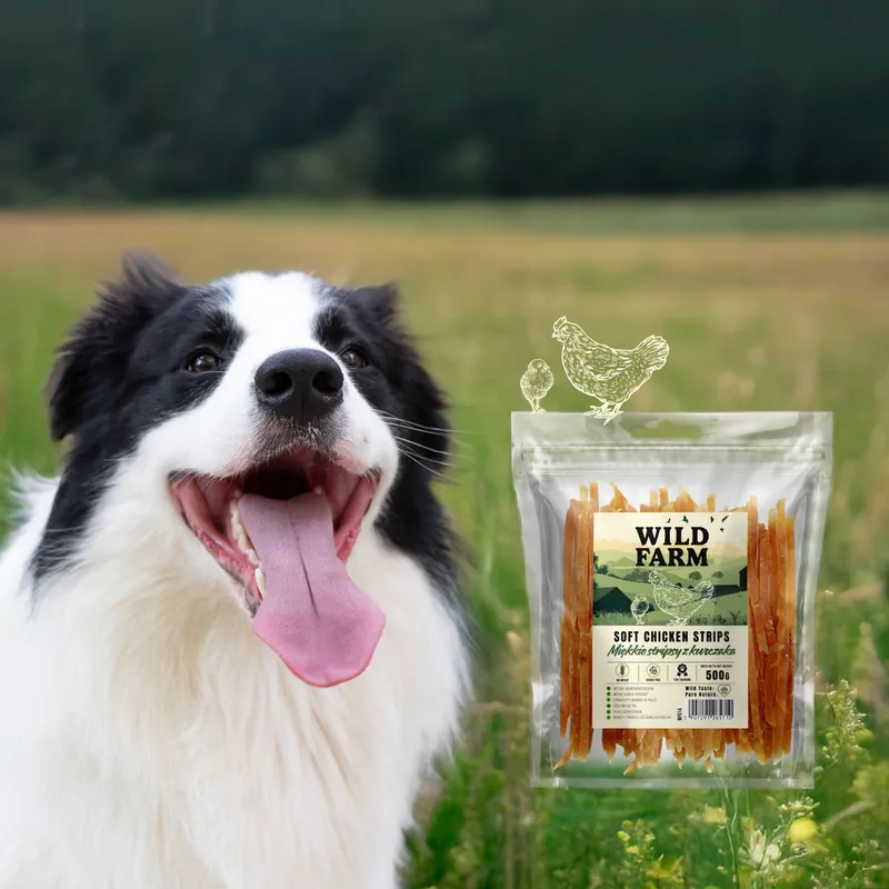 Przysmak Dla Psa Stripsy Z Kurczaka Naturalne Bezzbożowe ZOOJOY 500 g