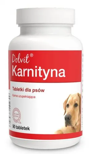 Dolfos Dolvit Karnityna 90 Tabletek