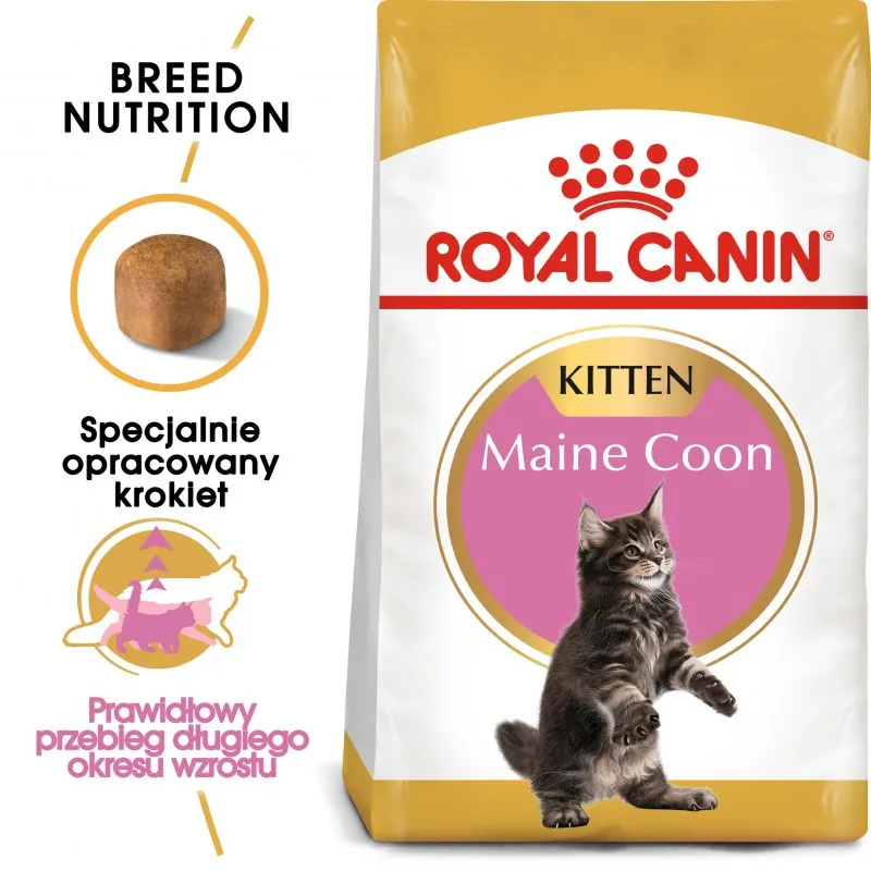ROYAL CANIN Maine Coon Kitten 10kg