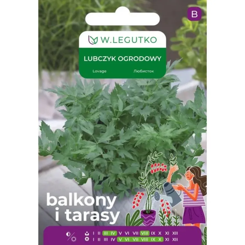 Nasiona Lubczyku Ogrodowego Do Ogrodu
