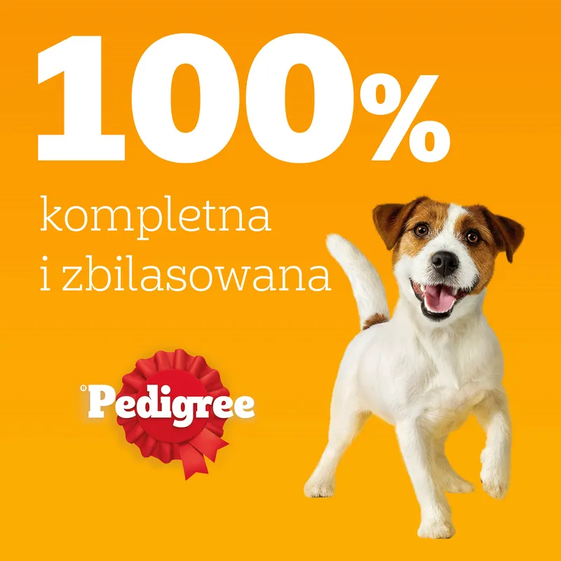 Pedigree Mokra Karma Dla Dorosłych Psów W Sosie (Z Wołowiną I Jagnięciną, Z Indykiem I Marchewką) 4x100g
