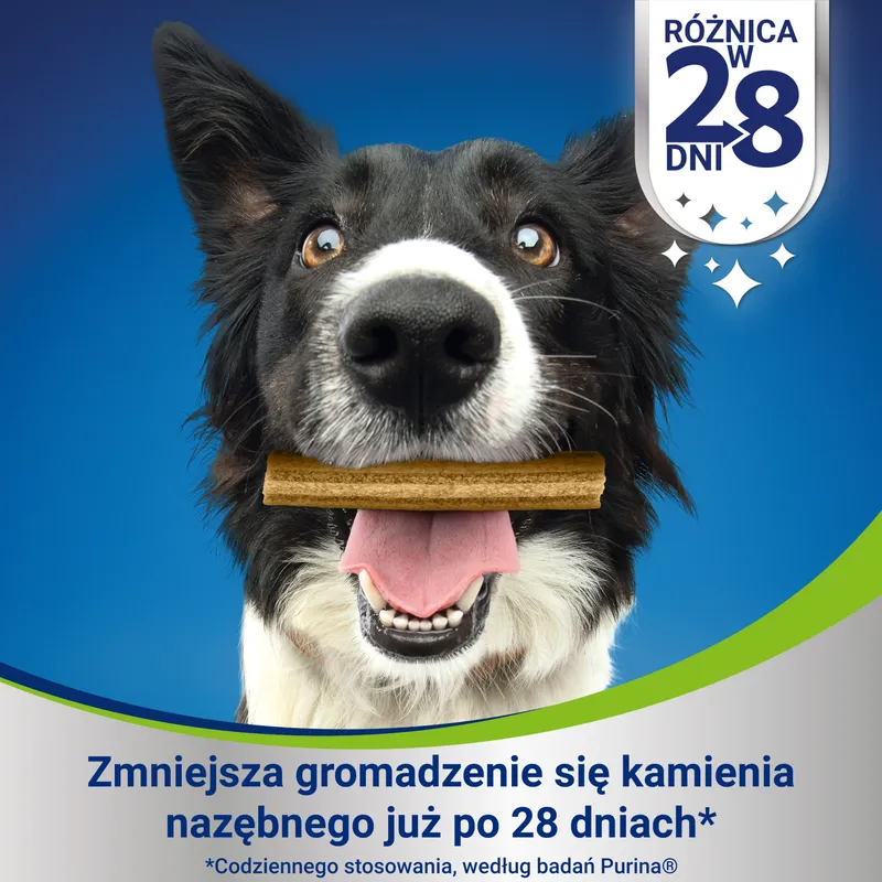 PURINA Dentalife Small 115g