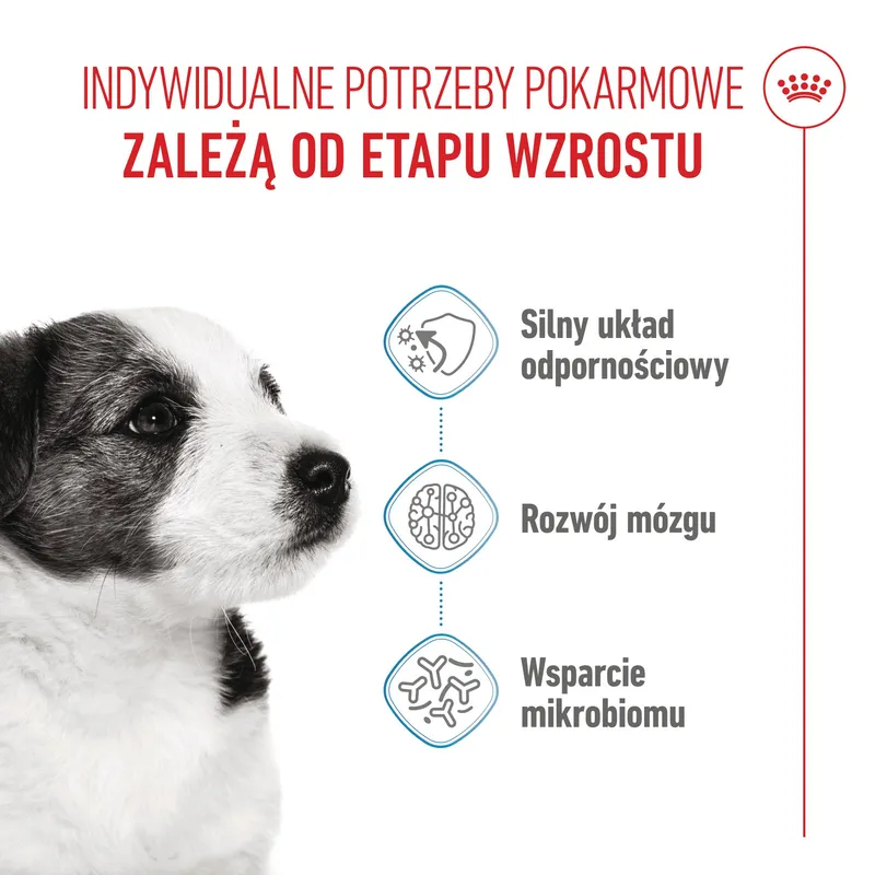 ROYAL CANIN Mini Puppy 4kg