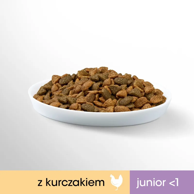PERFECT FIT (Junior) 750g Bogaty W Kurczaka - Sucha Karma Dla Kota