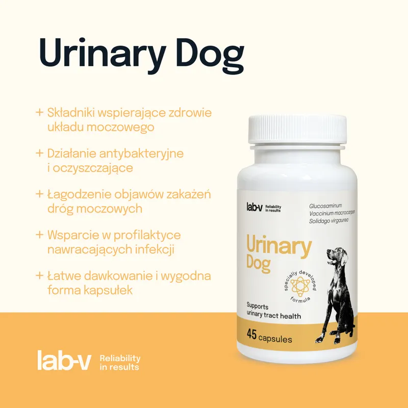 Lab-V Urinary Dog Wsparcie Przy Zakażeniu Dróg Moczowych U Psów 45 Kapsułek