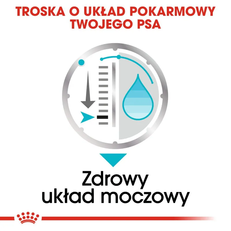ROYAL CANIN CCN Urinary Care Pasztet 12x85g