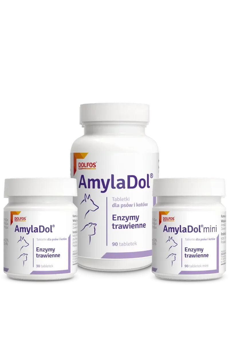 Dolfos AmylaDol 90 Tabletek