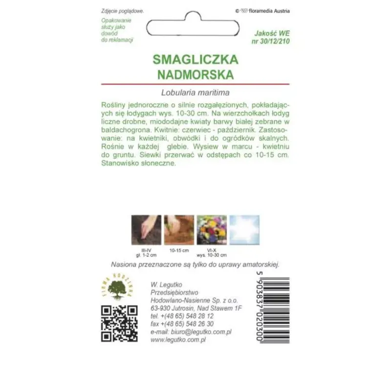 Smagliczka Nadmorska Roślina Kwiatowa Ogrodowa GARDIVA 0,5 g - Biała