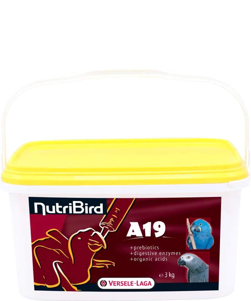 Versele-Laga NutriBird A19 Pokarm Do Ręcznego Karmienia Piskląt 3kg