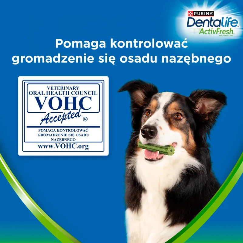 Przysmak Dla Psa Dentystyczny Do Żucia 4 szt ZOOJOY