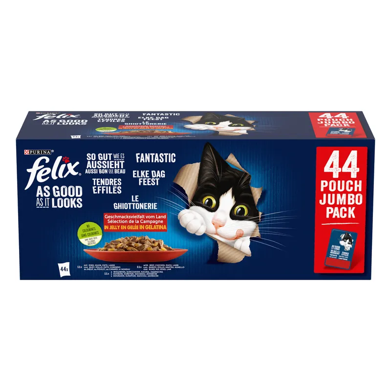 Felix Fantastic Mix Smaków W Galaretce Karma Dla Kota 44x85g