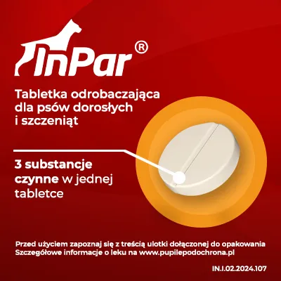 Vet-Agro InPar Tabletki Odrobaczające Dla Psa 2szt