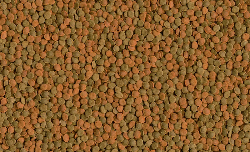 Tetra Wafer Mix 100ml
