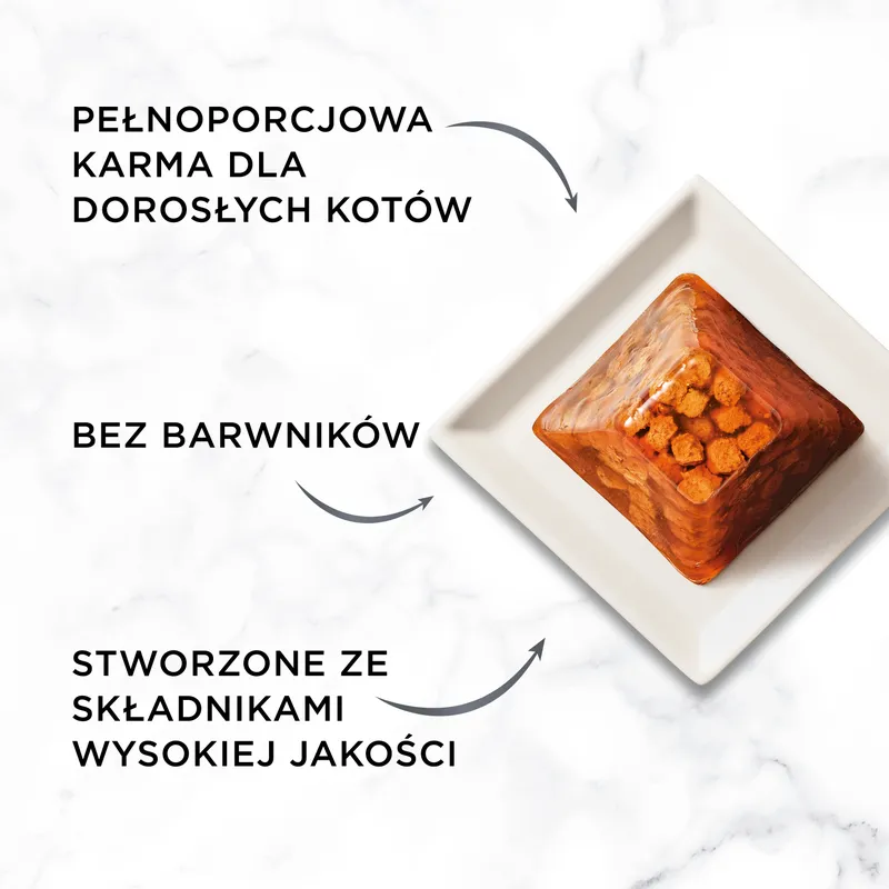 GOURMET Revelations Delikatne Kawałki W Galaretce Z Łososiem 2x57g