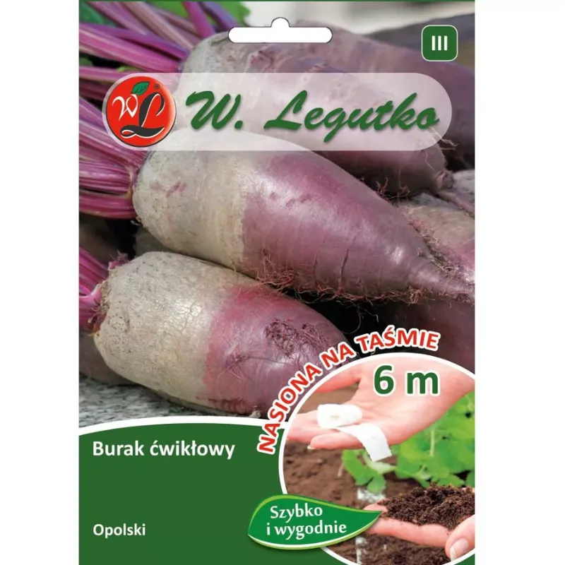 Burak Ćwikłowy Opolski Cylindryczny — Nasiona