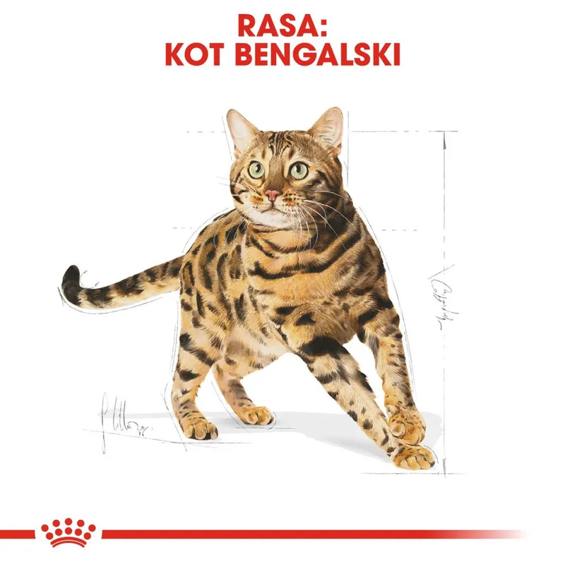 ROYAL CANIN Bengal Adult 2kg