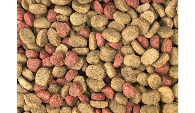 Dino Sucha Karma Z Wołowiną Dla Psów 20kg