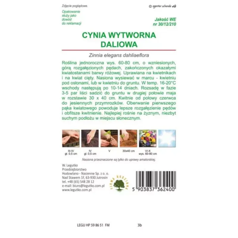 Nasiona Cynia Wytworna Daliowa Illumination 1,5 g GARDIVA - Różowa
