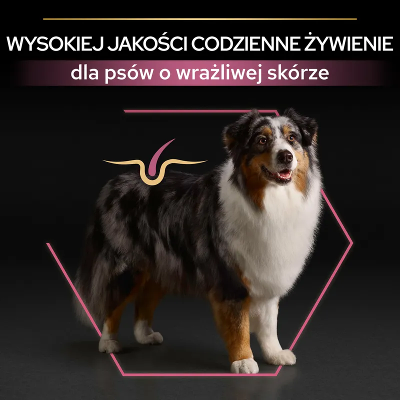 Purina Pro Plan Medium & Large 7+ Sensitive Optiderma Łosoś I Ryż 14kg