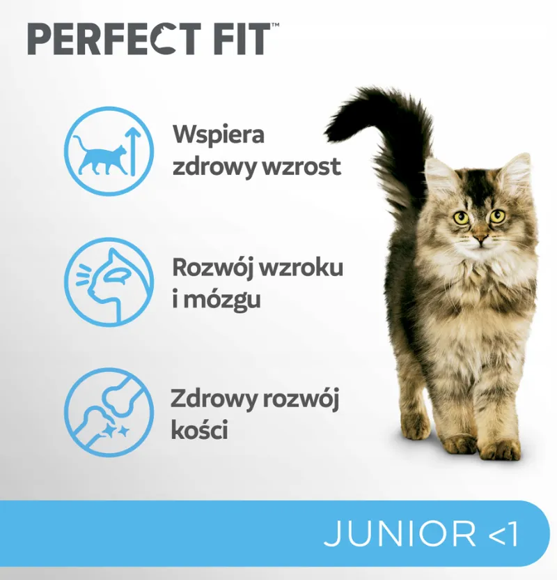 IttenFit Junior Kurczak 7 kg – Pełnoporcjowa Sucha Karma Dla Kociąt