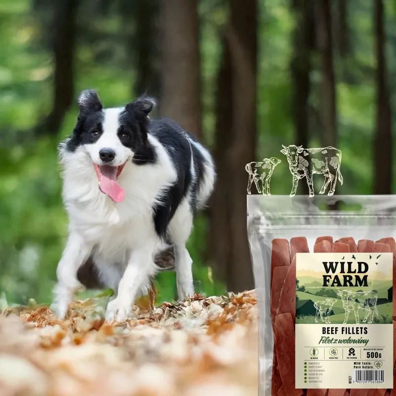Przysmak Dla Psa Filet Z Wołowiny Naturalny Bezzbożowy ZOOJOY 500 g