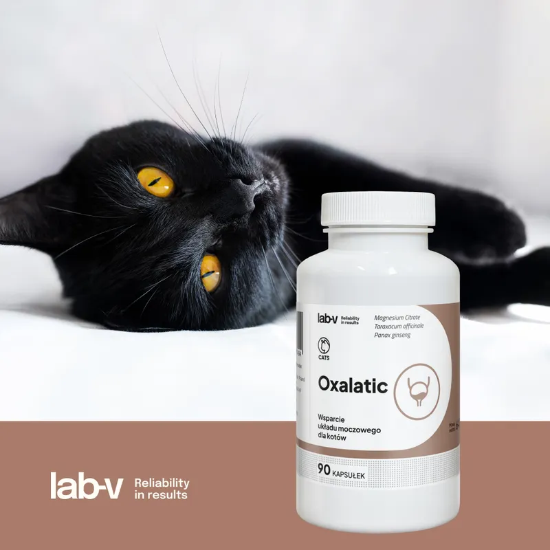 Lab-V Oxalatic Wsparcie Dla Kotów Przy Tworzeniu Się Kamieni Oksalatowych 45 Kapsułek