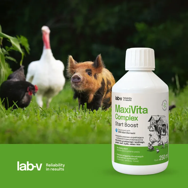 Suplement Witaminowy Dla Drobiu Gołębi I Zwierząt ZOOJOY 1000 ml