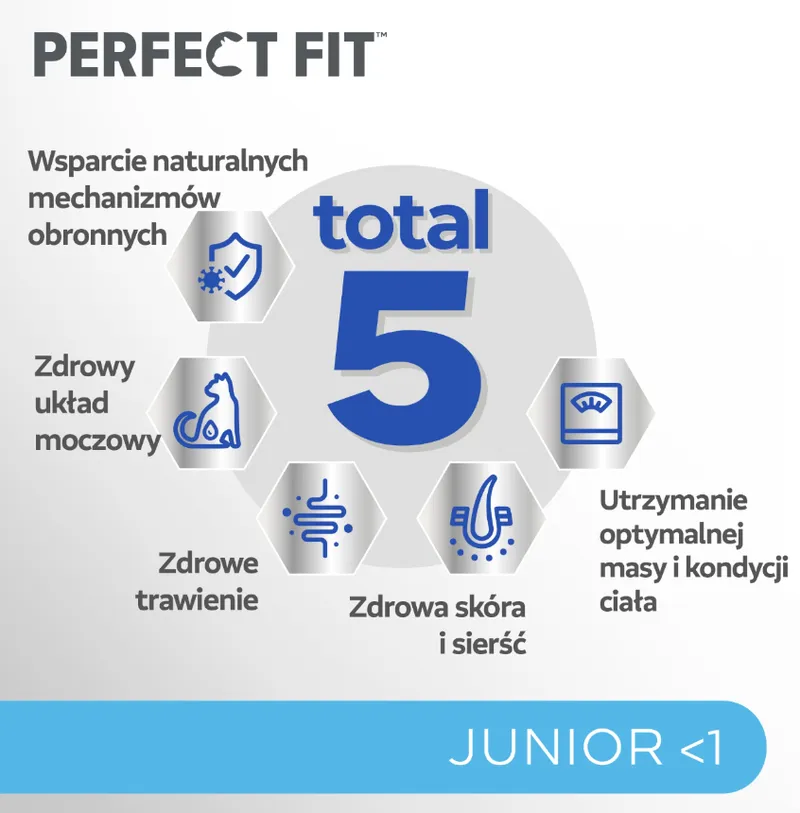 IttenFit Junior Kurczak 7 kg – Pełnoporcjowa Sucha Karma Dla Kociąt