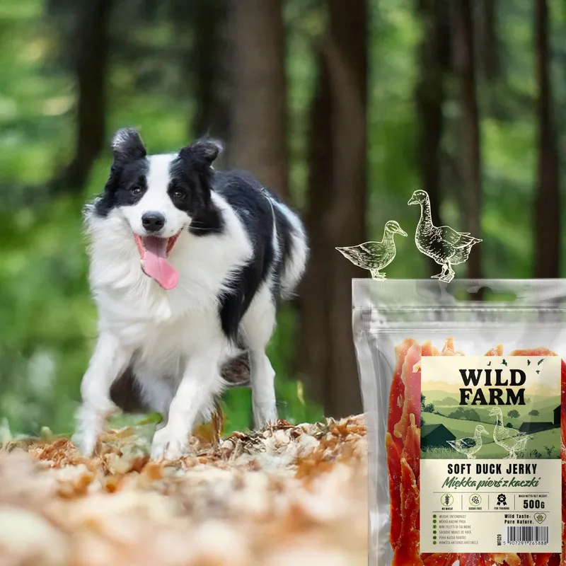 Przysmak Dla Psa Miękka Pierś Z Kaczki Bezzbożowy ZOOJOY 500 g Naturalny