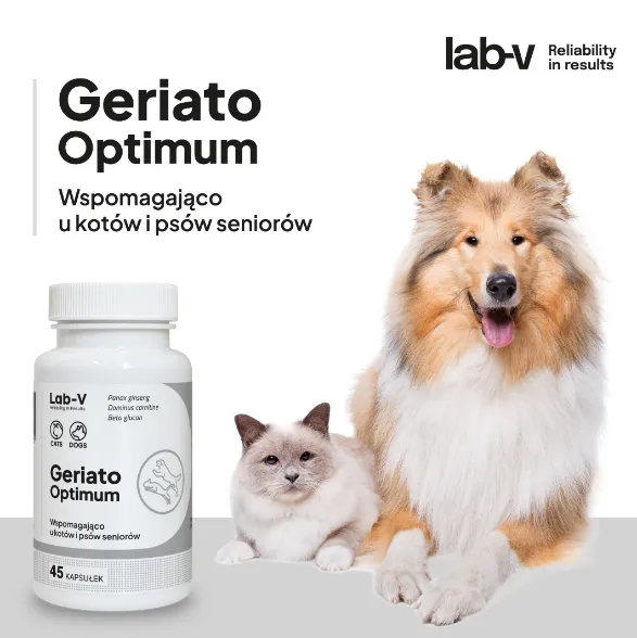 Lab-V Geriato Optimum Wspomaganie Zdrowia Seniorów Dla Psów I Kotów 45 Kapsułek