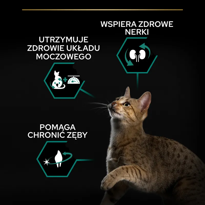 PURINA Pro Plan Cat Sterilised Turkey 400g
